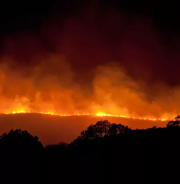 As Amazon Wildfires Blaze, Deforestation May Be to Blame