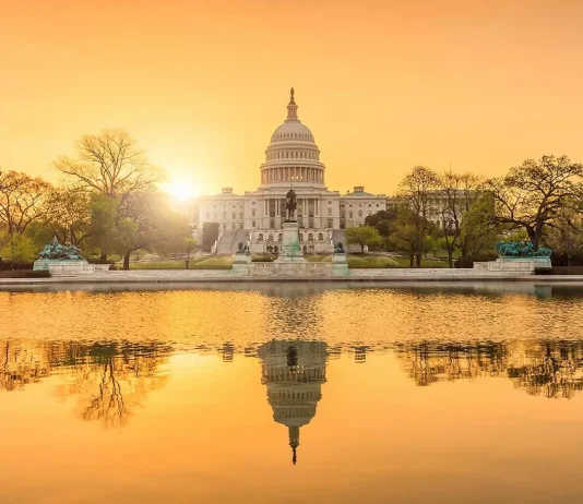 The Role of Organized Interest Groups in America