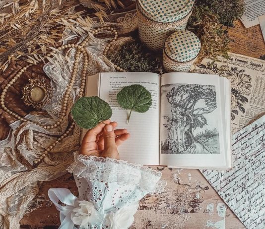 Essential Art History Books for Beginners