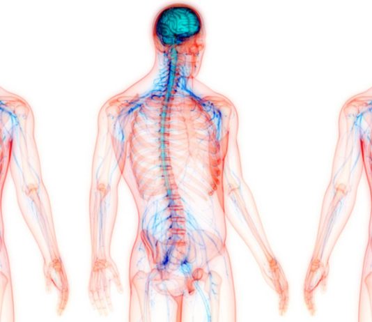 How Is Adenosine Triphosphate Synthesized?
