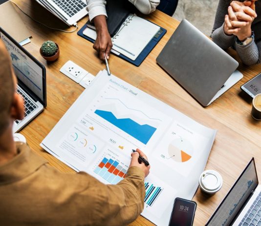 The Skinny Business Plan