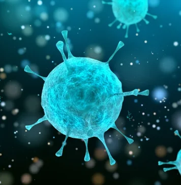 What Does the Cell Theory Tell Us?