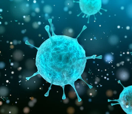 What Does the Cell Theory Tell Us?