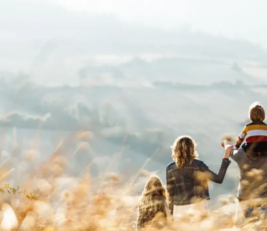 Global Pandemics: What We Can Learn from the COVID-19 Crisis