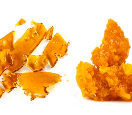 What Makes Wax Different From Shatter Concentrates?