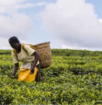 Different Approaches to Feeding a Growing Population
