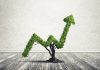Fisher and Price: The Original Growth Stock Investors