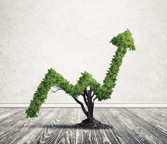 Fisher and Price: The Original Growth Stock Investors