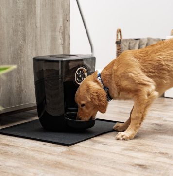 Best dog gadgets to spoil your furry friend