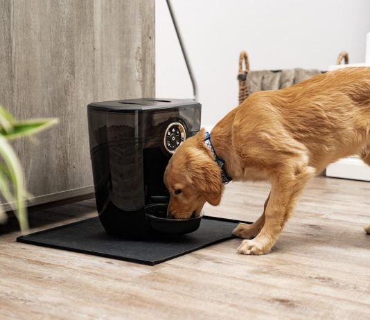 Best dog gadgets to spoil your furry friend