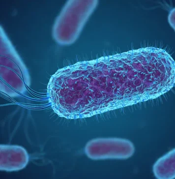 How the Genetic Code Was Deciphered