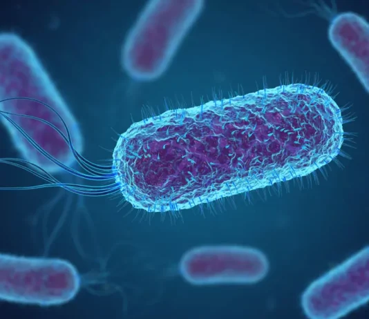 How the Genetic Code Was Deciphered