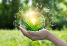 Green Economy: Definition, Characteristics and Benefits