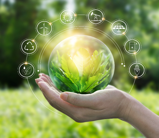 Green Economy: Definition, Characteristics and Benefits