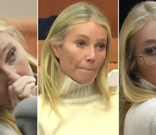 Points On Gwyneth Paltrow’s Ski Accident Trial