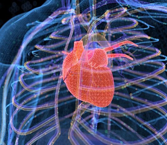 What Is the Metabolic Process of Organisms?