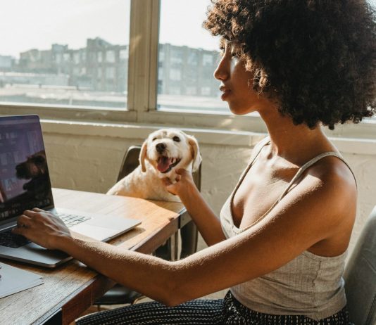 How To Become An Independent Contractor