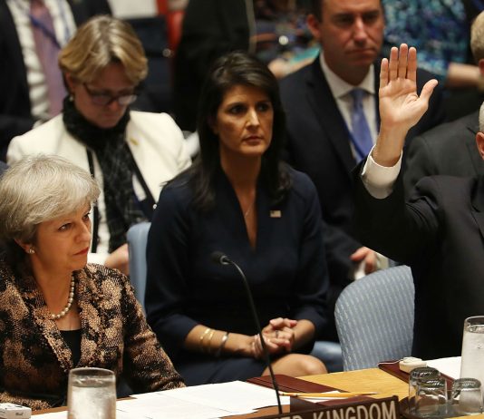 The Role of International Organizations in Global Politics