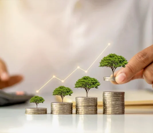 The Importance of Investing in Your Finances