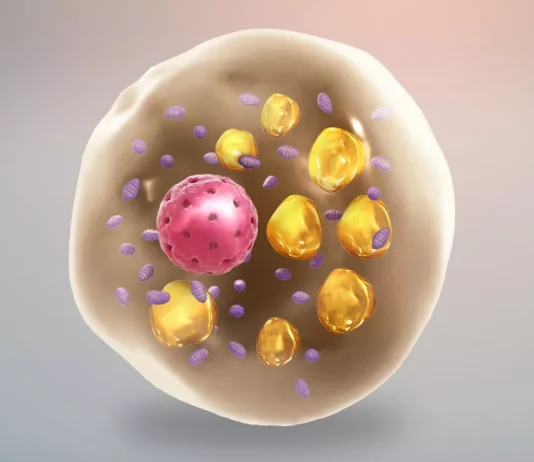 How Lipids Form Cell Membranes