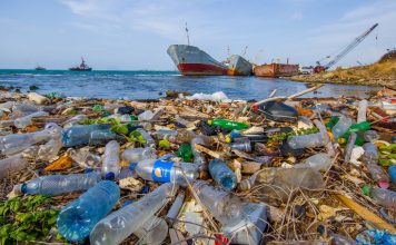 How Different Countries are Tackling the Pollution Crisis