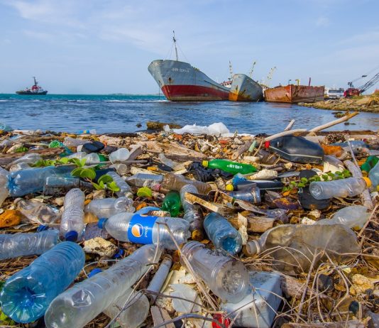 How Different Countries are Tackling the Pollution Crisis