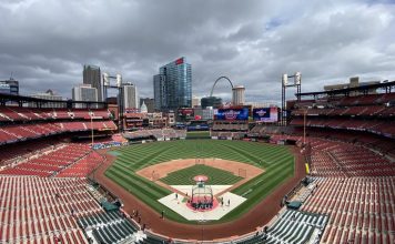 Understanding the Economic Impact of Professional Leagues