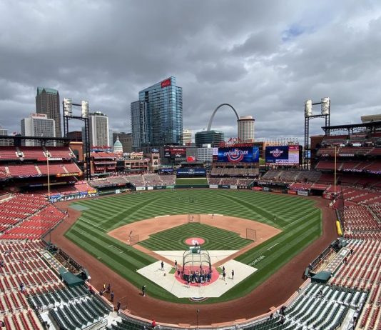 Understanding the Economic Impact of Professional Leagues