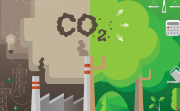 How Countries Are Reducing Their Carbon Footprint