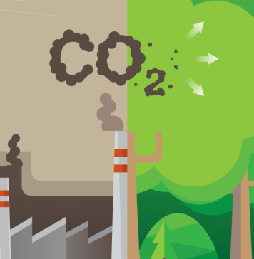 How Countries Are Reducing Their Carbon Footprint