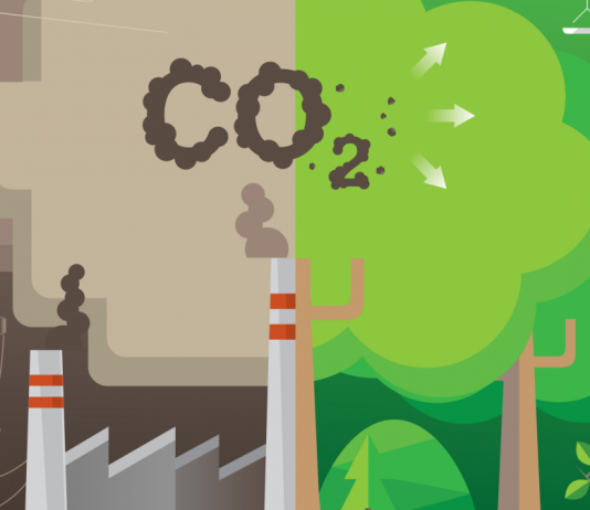 How Countries Are Reducing Their Carbon Footprint