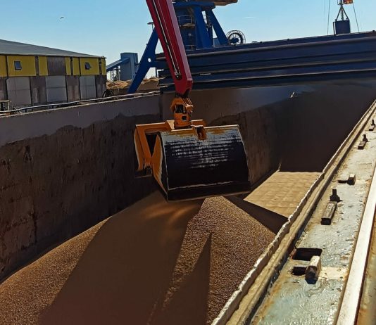 Russia unblocks grain exports for another 60 days
