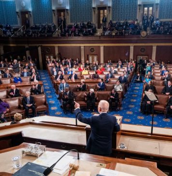 The US Congress: Challenges in Its Institutional Design