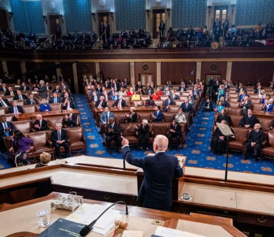 The US Congress: Challenges in Its Institutional Design