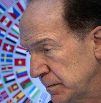 How Is the World Bank Structured?